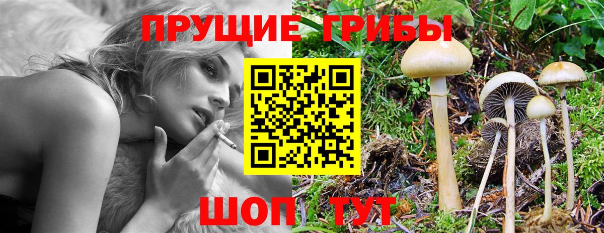 Аксай  Галлюциногенные грибы MAGIC MUSHROOMS  Вход с VPN 
